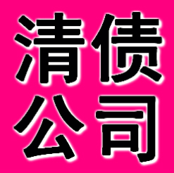 广州清债公司